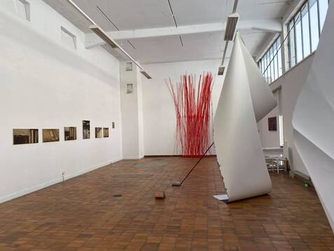 Bild